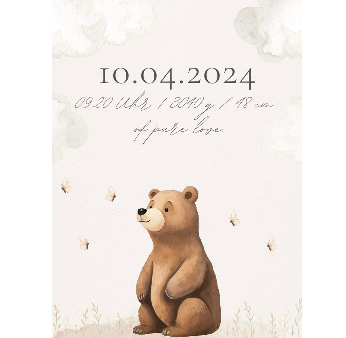 Braunbär Poster Set